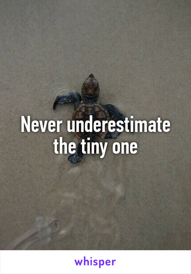 Never underestimate the tiny one