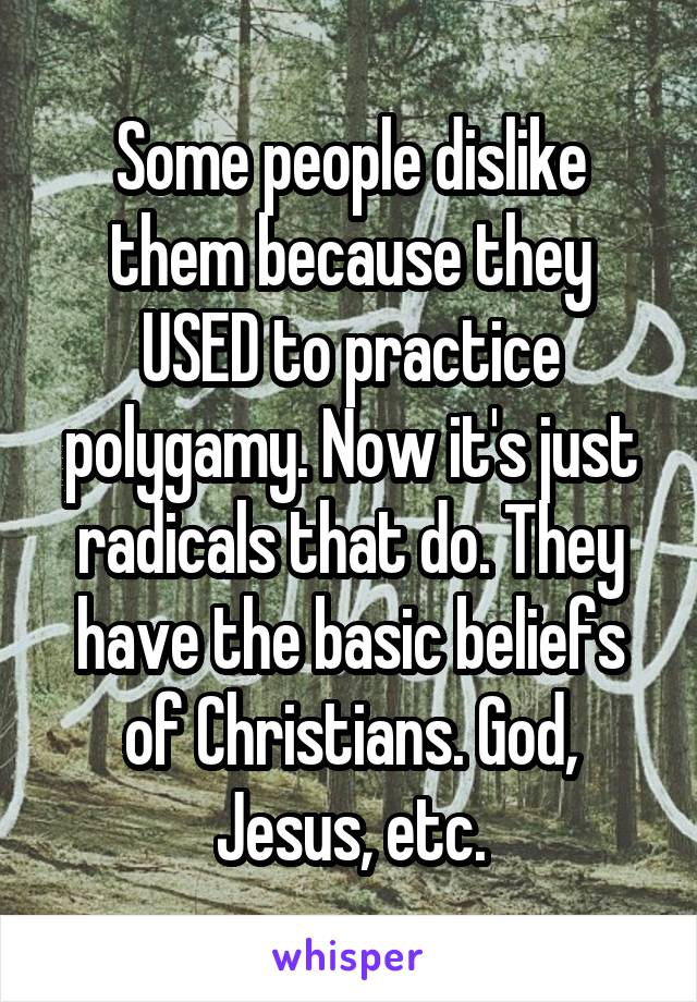 Some people dislike them because they USED to practice polygamy. Now it's just radicals that do. They have the basic beliefs of Christians. God, Jesus, etc.