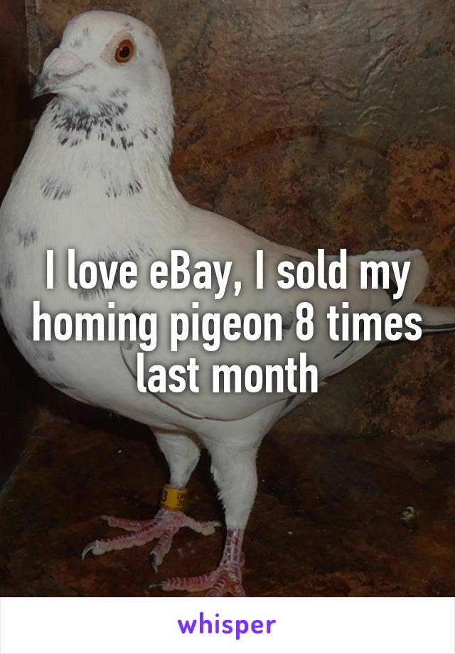 I love eBay, I sold my homing pigeon 8 times last month