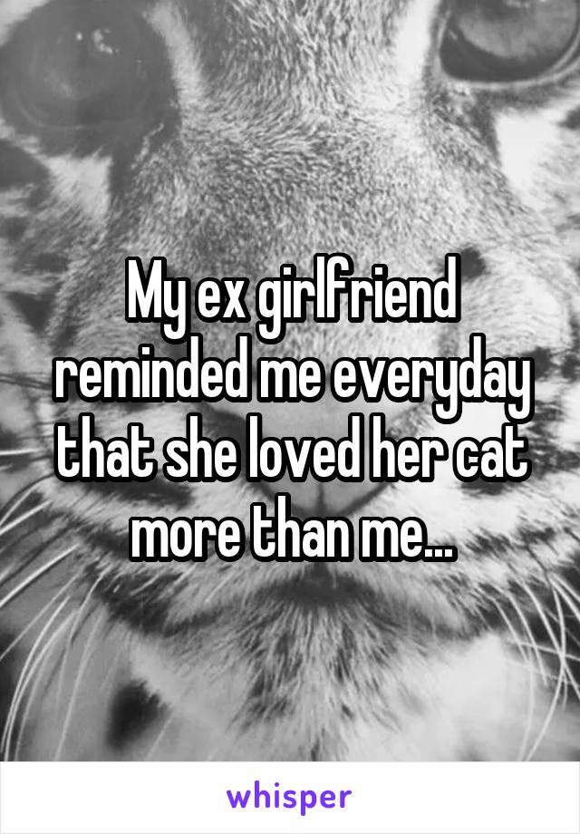 My ex girlfriend reminded me everyday that she loved her cat more than me...