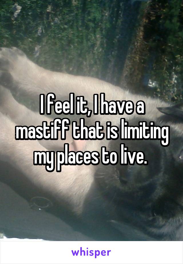 I feel it, I have a mastiff that is limiting my places to live. 