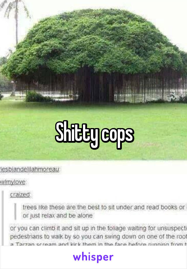 Shitty cops