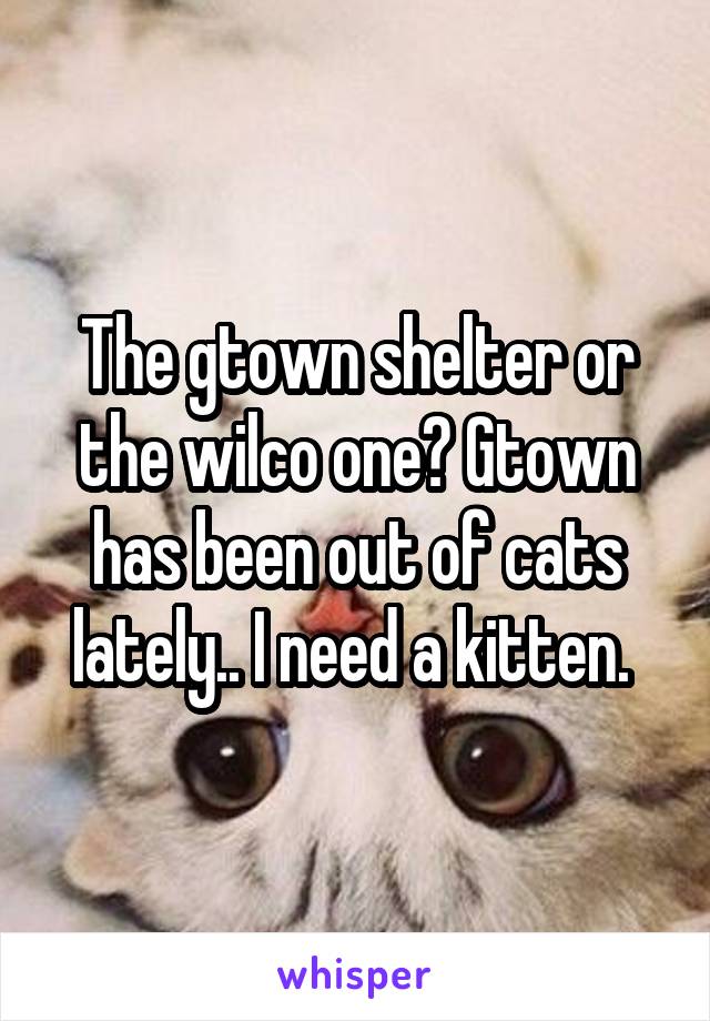 The gtown shelter or the wilco one? Gtown has been out of cats lately.. I need a kitten. 