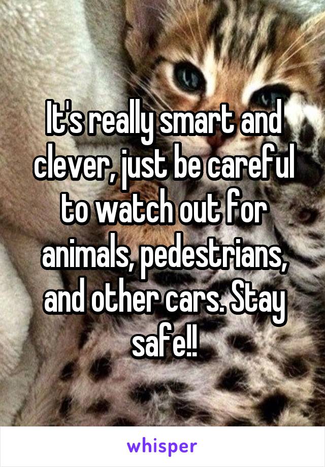 It's really smart and clever, just be careful to watch out for animals, pedestrians, and other cars. Stay safe!!