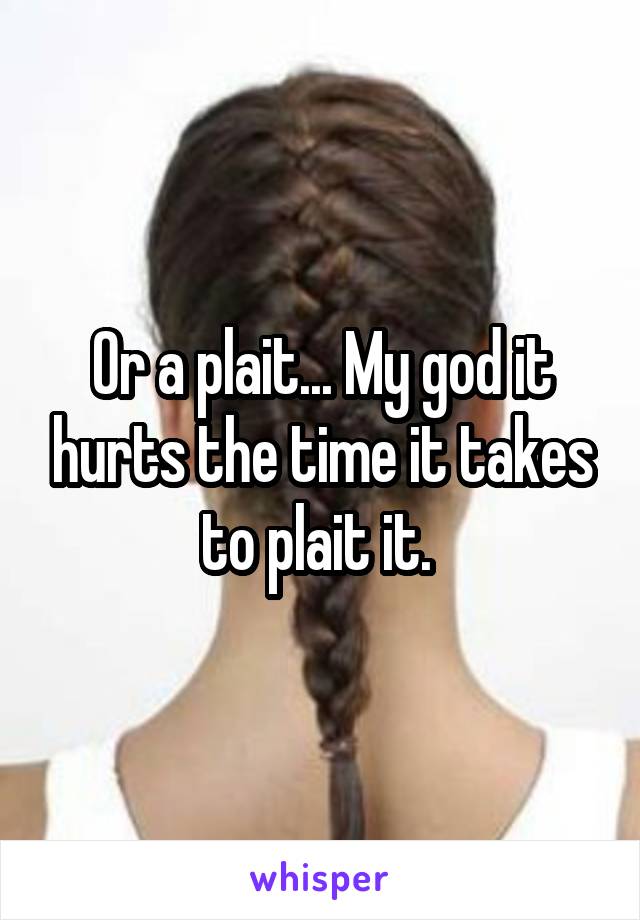 Or a plait... My god it hurts the time it takes to plait it. 