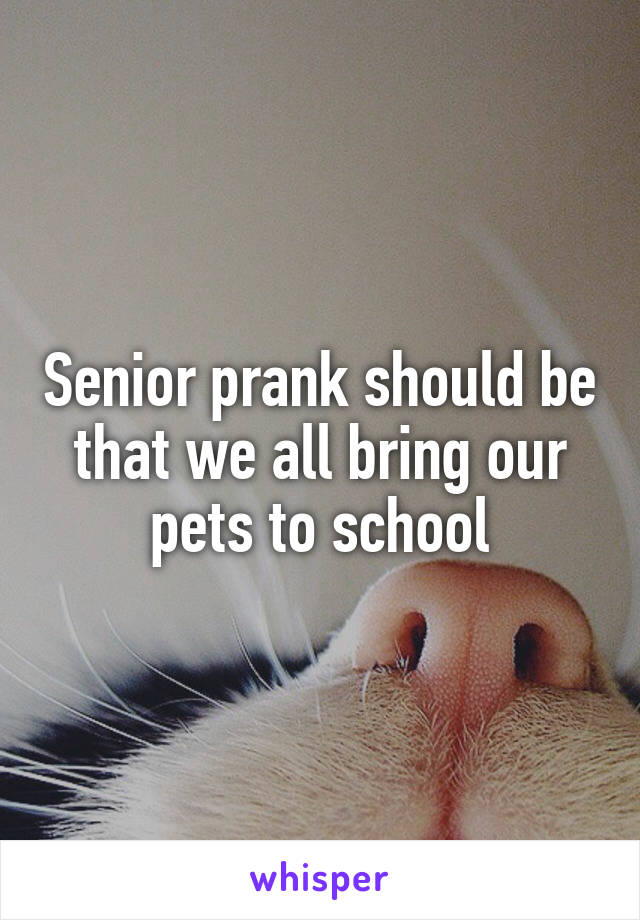 Senior prank should be that we all bring our pets to school