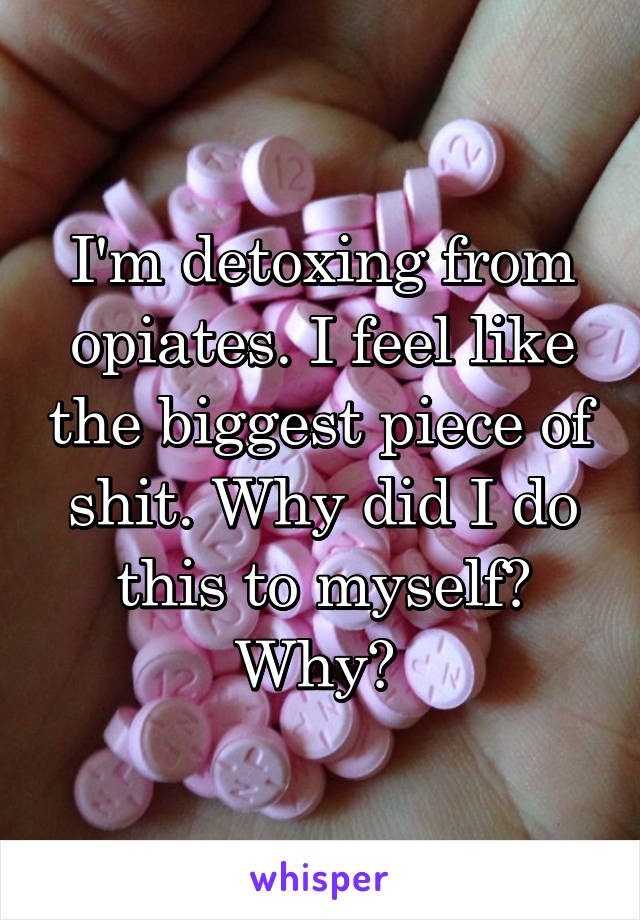 I'm detoxing from opiates. I feel like the biggest piece of shit. Why did I do this to myself? Why? 