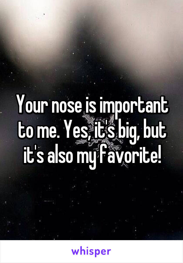 Your nose is important to me. Yes, it's big, but it's also my favorite!