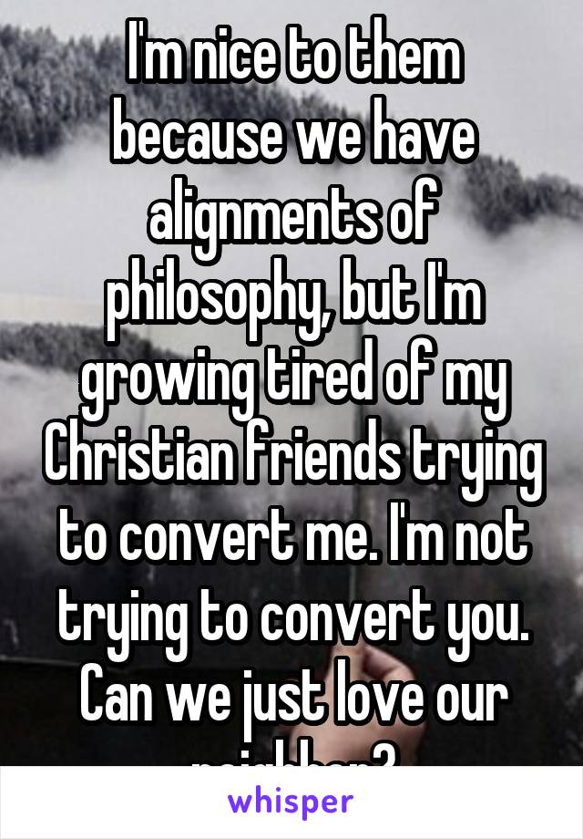 I'm nice to them because we have alignments of philosophy, but I'm growing tired of my Christian friends trying to convert me. I'm not trying to convert you. Can we just love our neighbor?