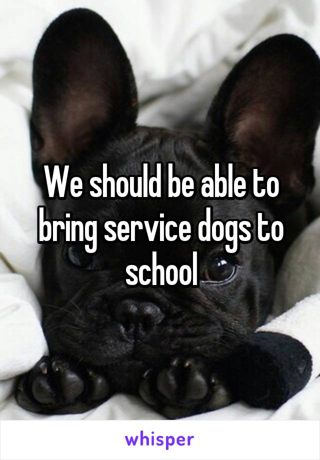 we-should-be-able-to-bring-service-dogs-to-school