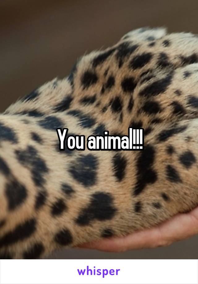 You animal!!!
