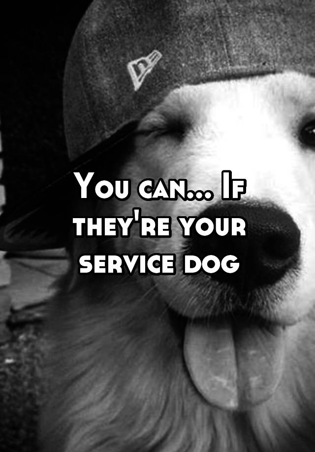 you-can-if-they-re-your-service-dog