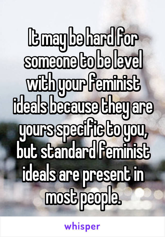 It may be hard for someone to be level with your feminist ideals because they are yours specific to you, but standard feminist ideals are present in most people.