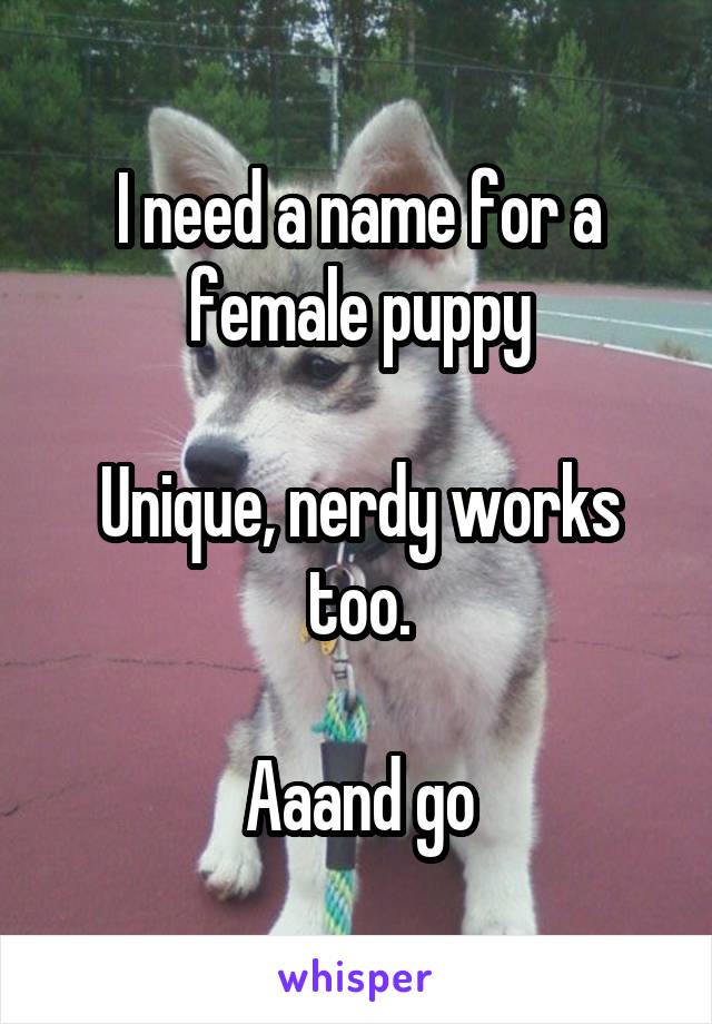 I need a name for a female puppy

Unique, nerdy works too.

Aaand go