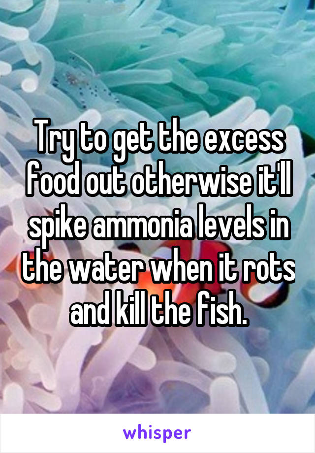 Try to get the excess food out otherwise it'll spike ammonia levels in the water when it rots and kill the fish.