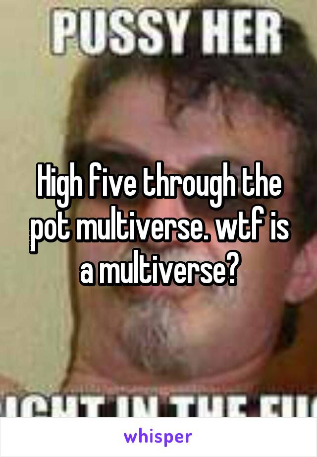 High five through the pot multiverse. wtf is a multiverse?