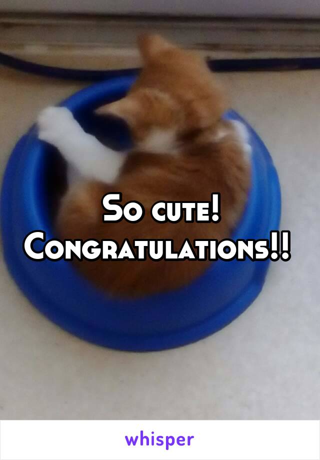 So cute! Congratulations!! 