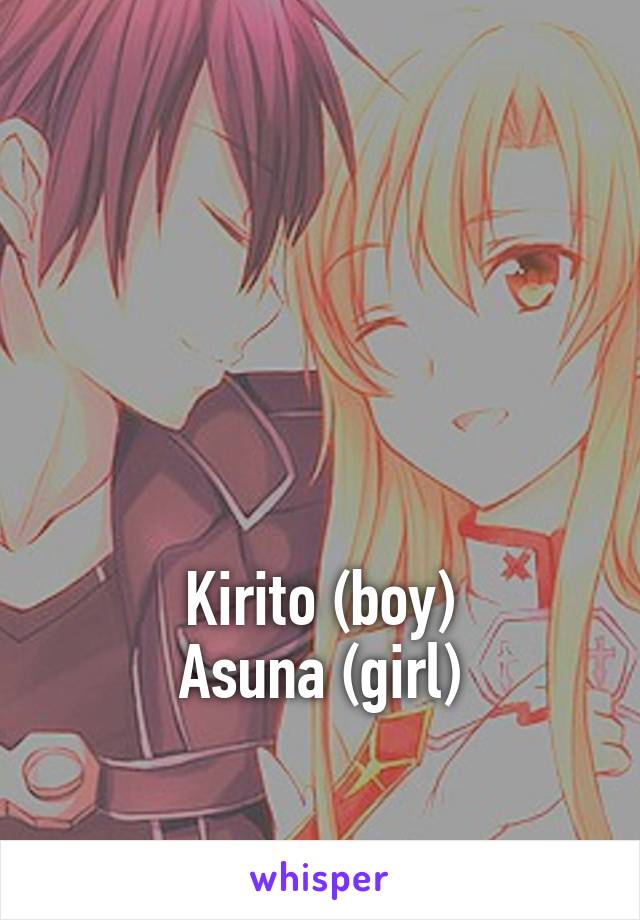 




Kirito (boy)
Asuna (girl)