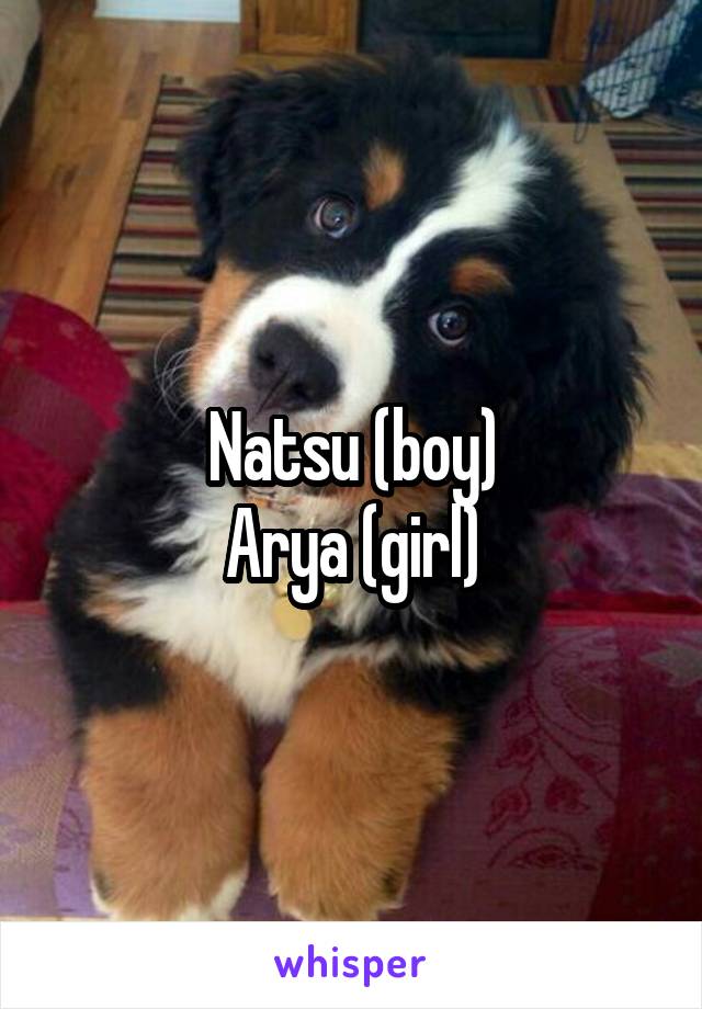 Natsu (boy)
Arya (girl)