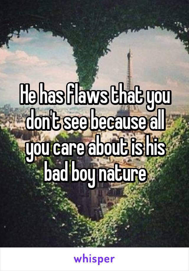 He has flaws that you don't see because all you care about is his bad boy nature