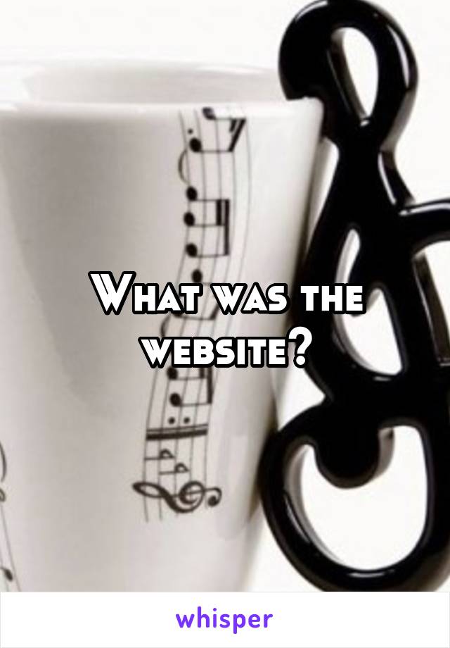 What was the website?