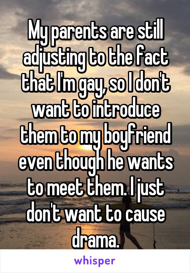 My parents are still adjusting to the fact that I'm gay, so I don't want to introduce them to my boyfriend even though he wants to meet them. I just don't want to cause drama.