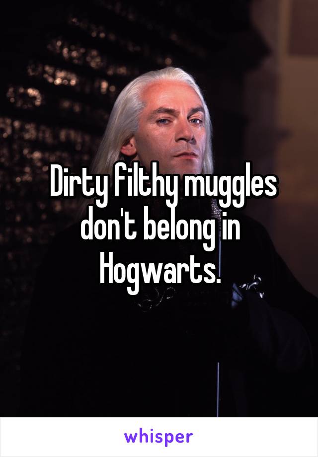  Dirty filthy muggles don't belong in Hogwarts.