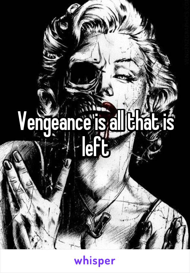 Vengeance is all that is left