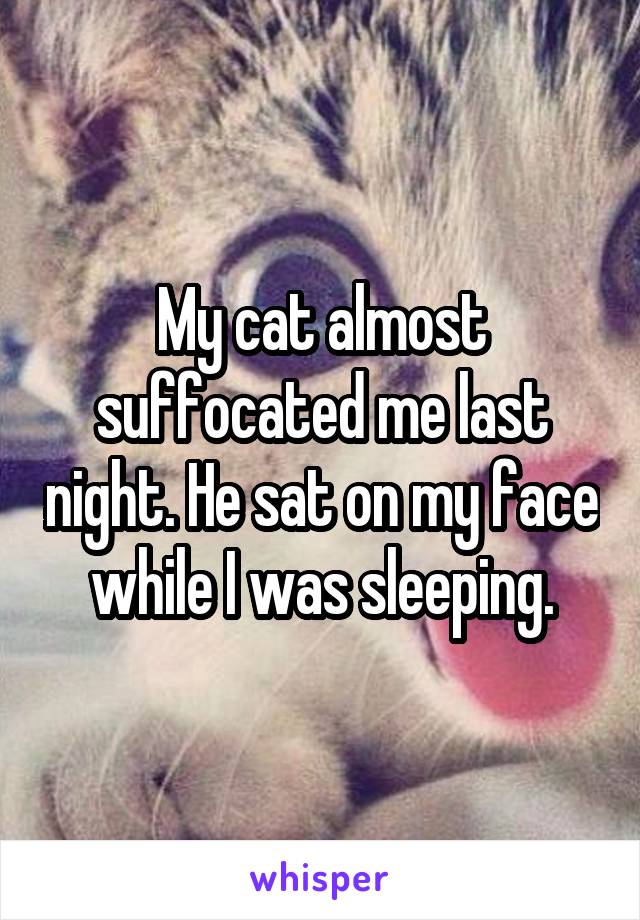 My cat almost suffocated me last night. He sat on my face while I was sleeping.