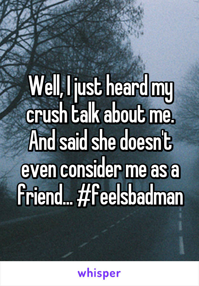 Well, I just heard my crush talk about me. And said she doesn't even consider me as a friend... #feelsbadman
