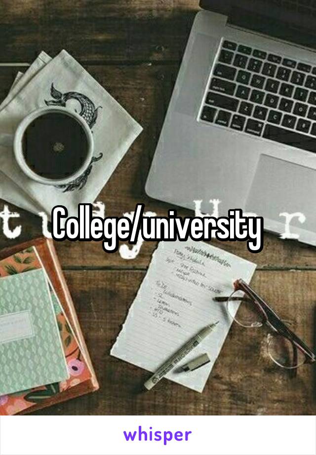College/university 