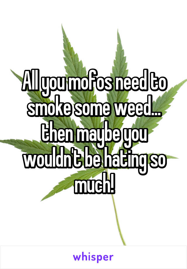 All you mofos need to smoke some weed... then maybe you wouldn't be hating so much!