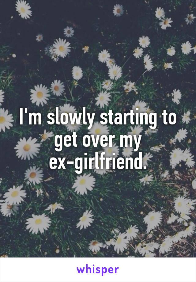 I'm slowly starting to get over my ex-girlfriend.