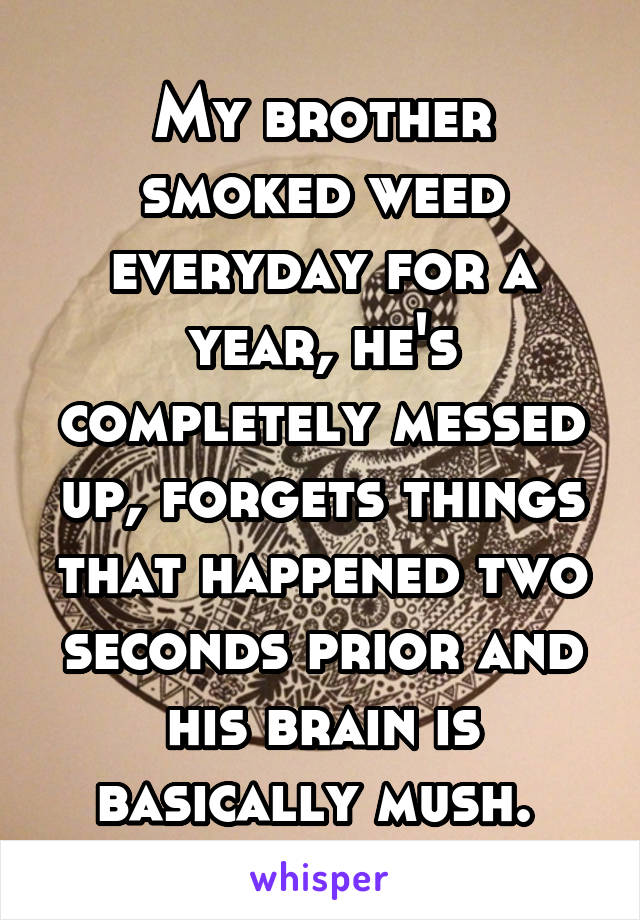 My brother smoked weed everyday for a year, he's completely messed up, forgets things that happened two seconds prior and his brain is basically mush. 