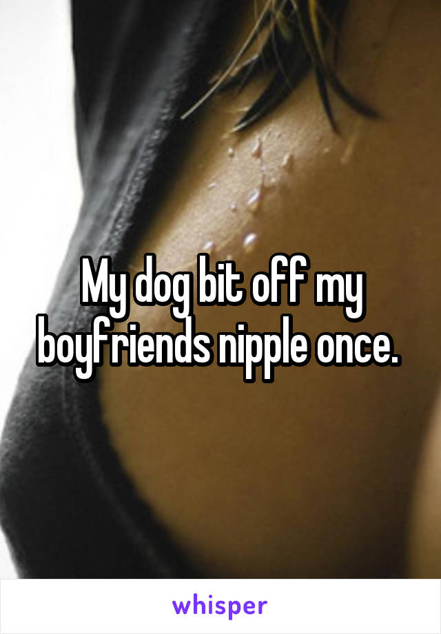 My dog bit off my boyfriends nipple once. 