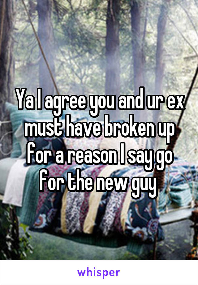 Ya I agree you and ur ex must have broken up for a reason I say go for the new guy 