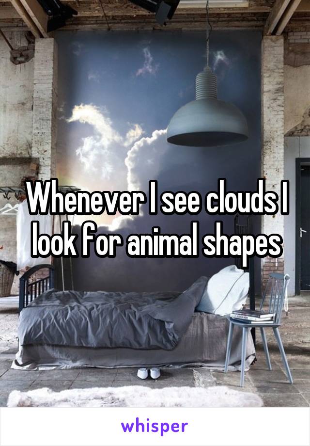 Whenever I see clouds I look for animal shapes