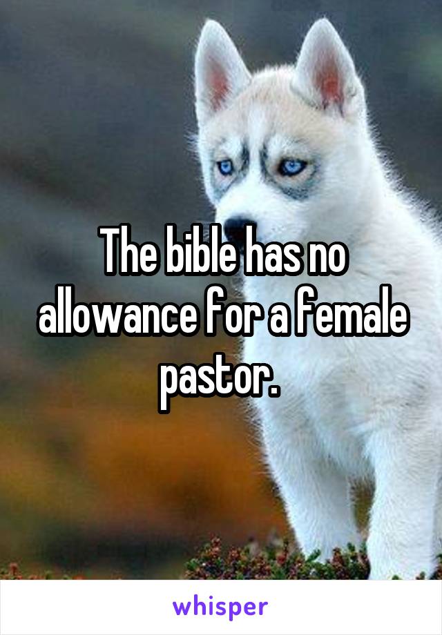 The bible has no allowance for a female pastor. 