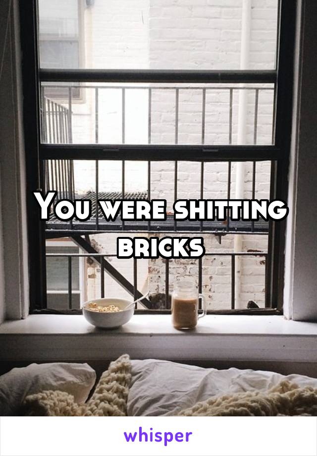 You were shitting bricks