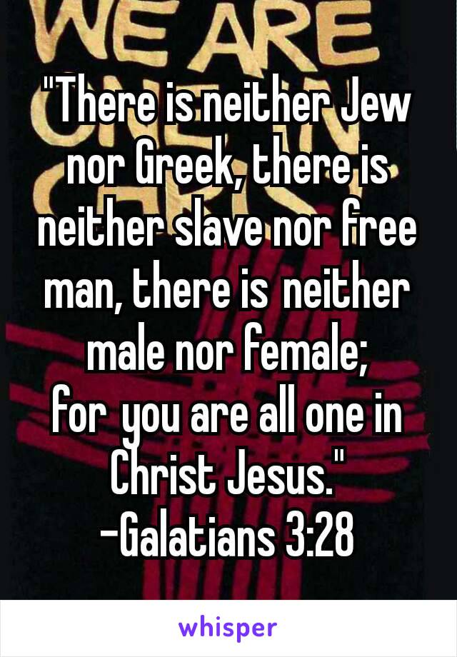 "There is neither Jew nor Greek, there is neither slave nor free man, there is neither male nor female; for you are all one in Christ Jesus."
-Galatians 3:28