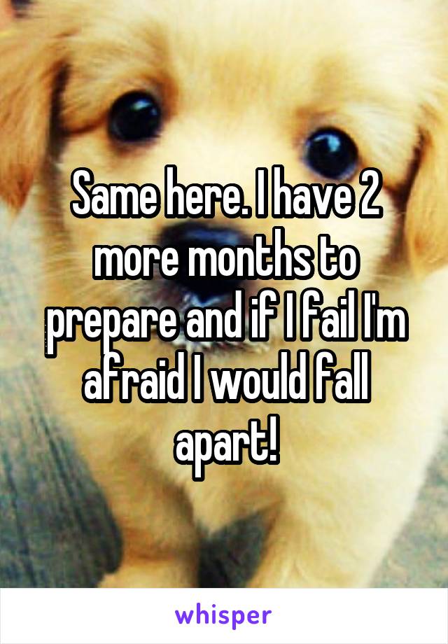 Same here. I have 2 more months to prepare and if I fail I'm afraid I would fall apart!