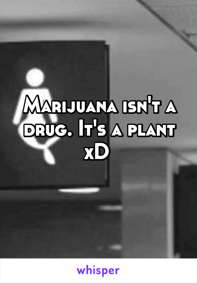 Marijuana isn't a drug. It's a plant xD 
