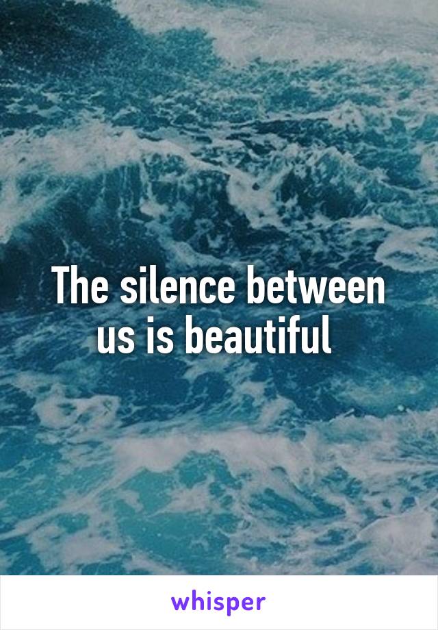 The silence between us is beautiful 