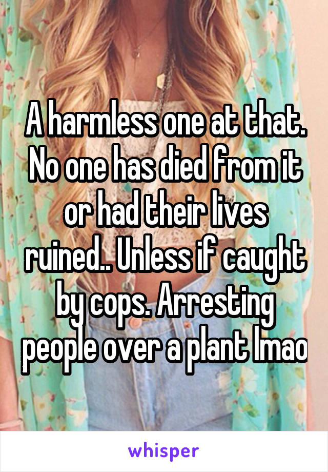 A harmless one at that. No one has died from it or had their lives ruined.. Unless if caught by cops. Arresting people over a plant lmao