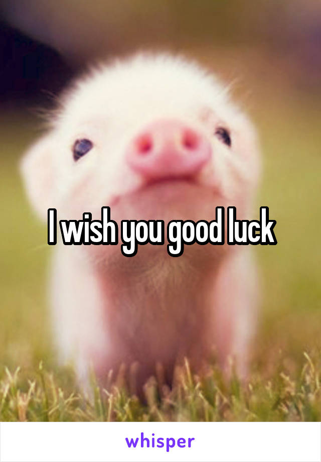 I wish you good luck