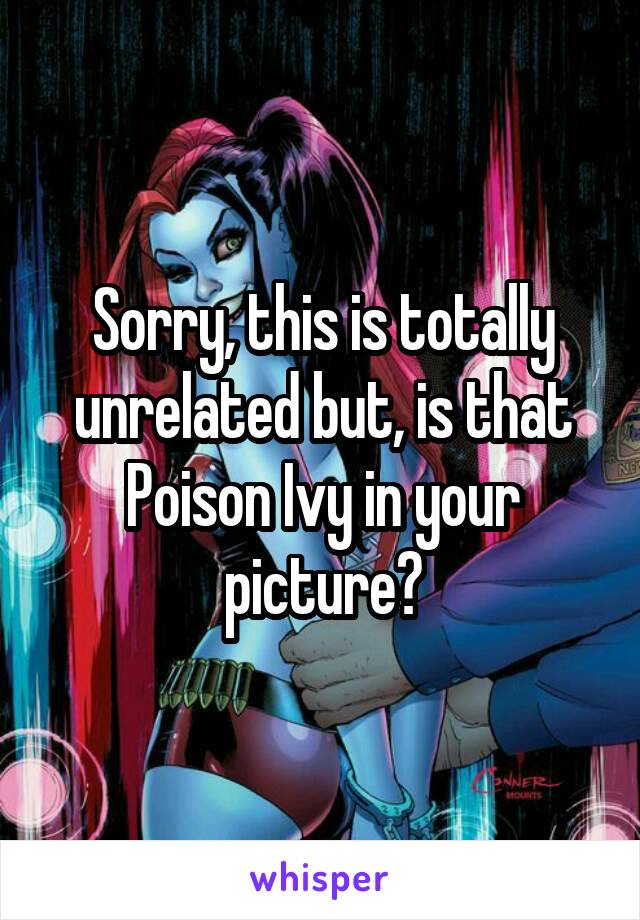 Sorry, this is totally unrelated but, is that Poison Ivy in your picture?