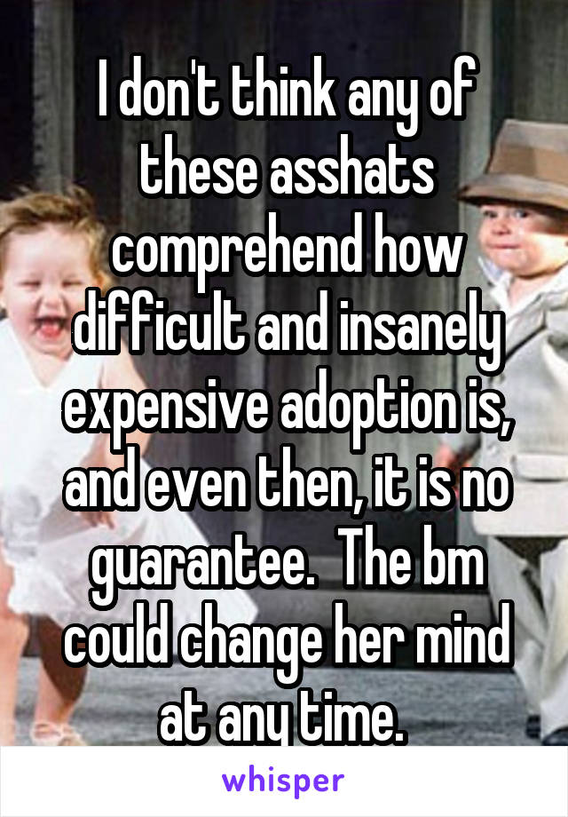 I don't think any of these asshats comprehend how difficult and insanely expensive adoption is, and even then, it is no guarantee.  The bm could change her mind at any time. 