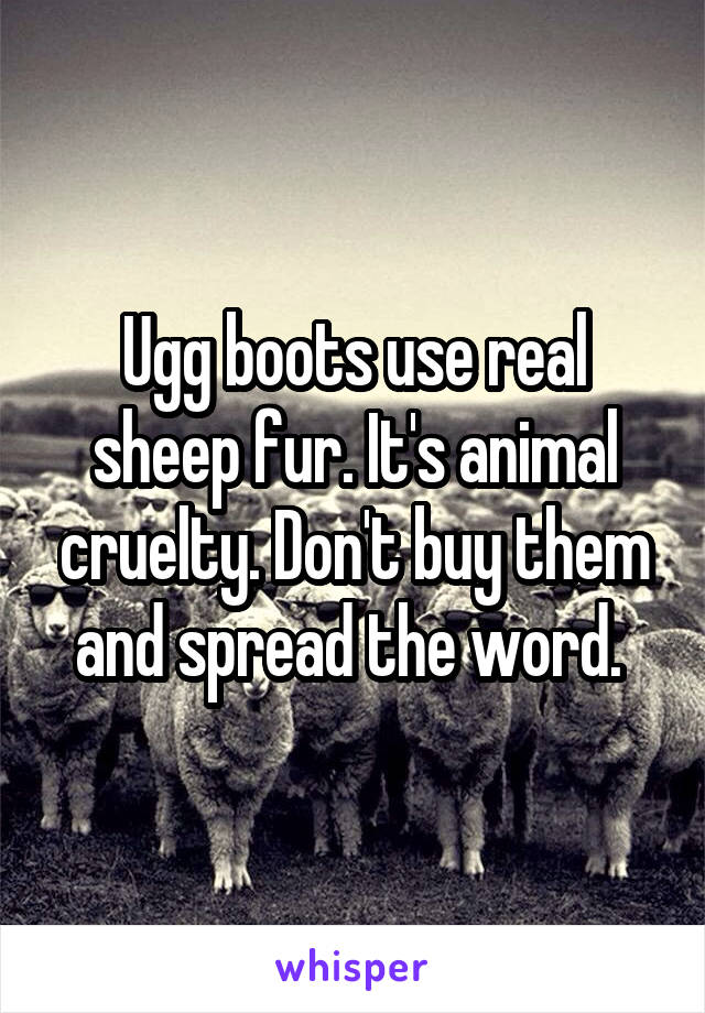Ugg boots use real sheep fur. It's animal cruelty. Don't buy them and spread the word. 
