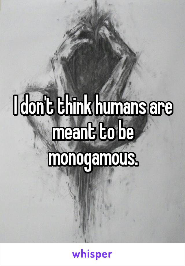 I don't think humans are meant to be monogamous.