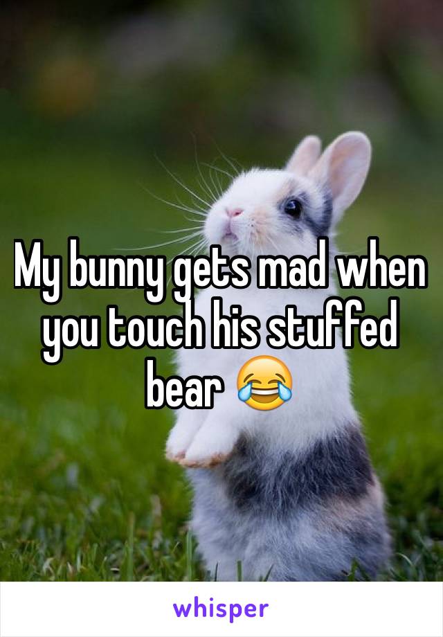 My bunny gets mad when you touch his stuffed bear 😂